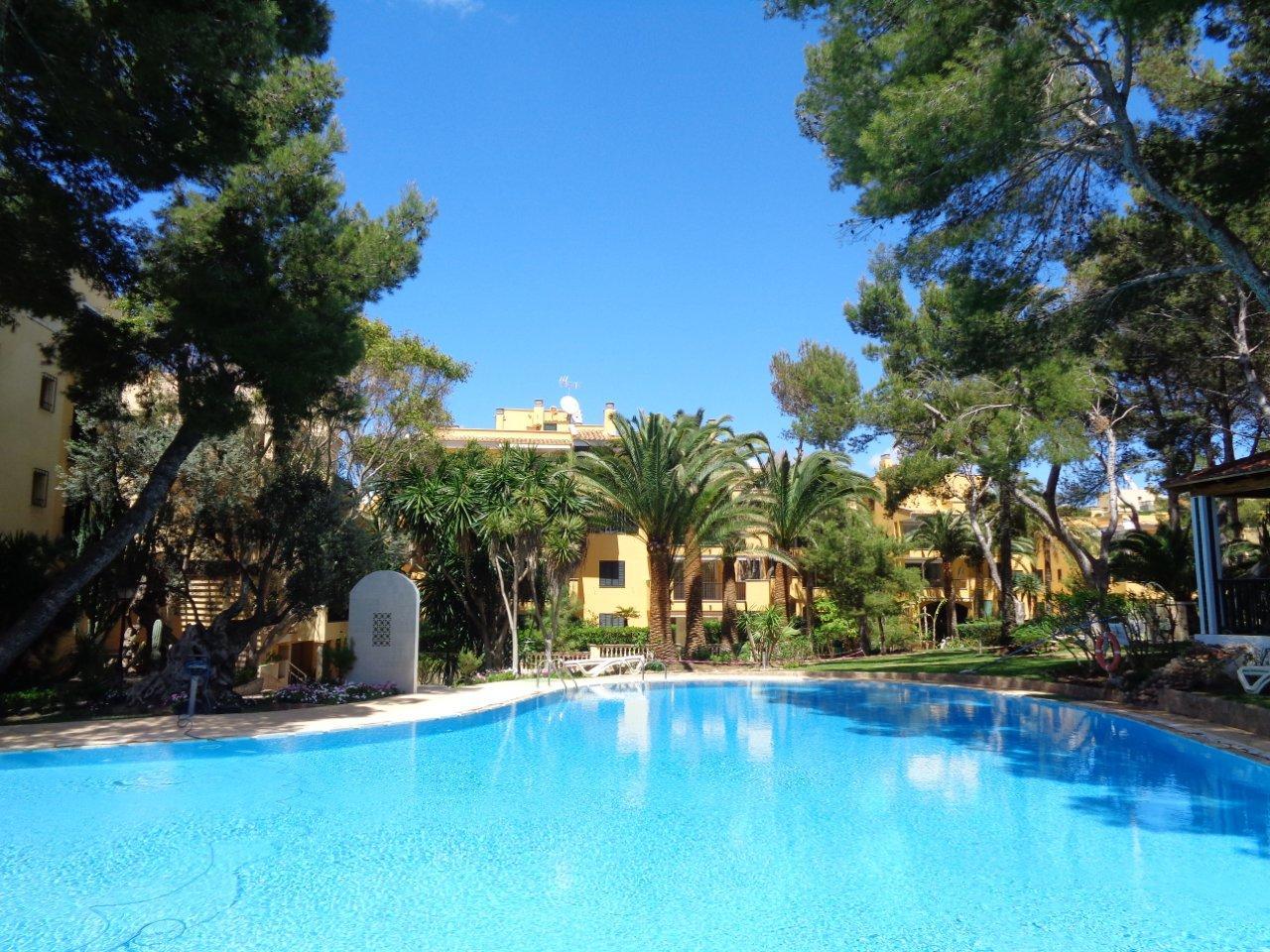 Mallorca - Nova Santa Ponsa - Apartment / flat