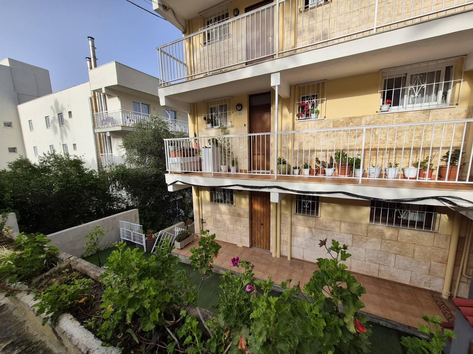 Mallorca - Paguera - Apartment / flat