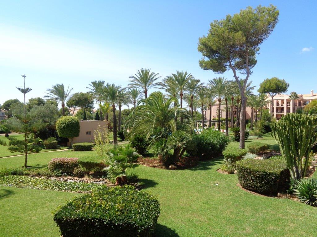 Mallorca - Nova Santa Ponsa - 