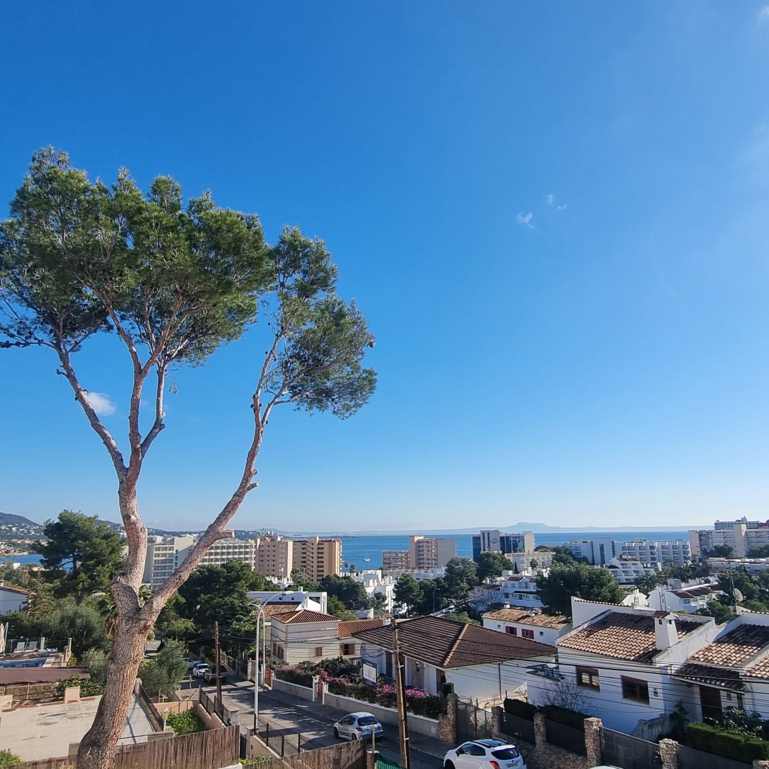 Mallorca - Palmanova - 